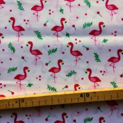 Flamants blanc
