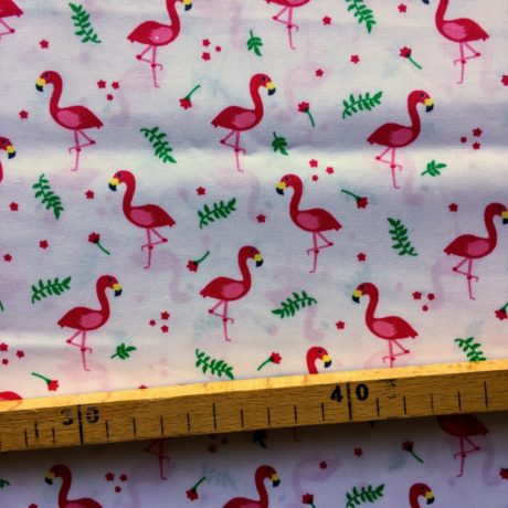 flamants-blanc