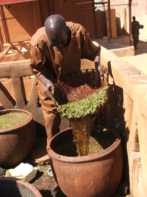 Décoction de plantes pour teinture